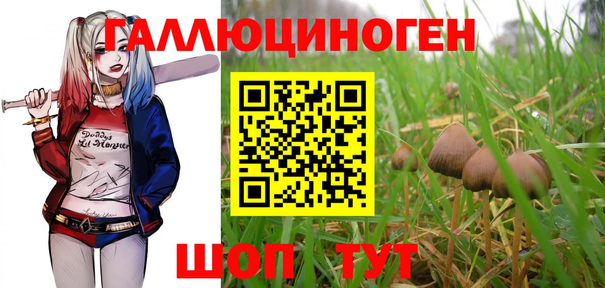 Псилоцибиновые грибы Magic Shrooms Таганрог