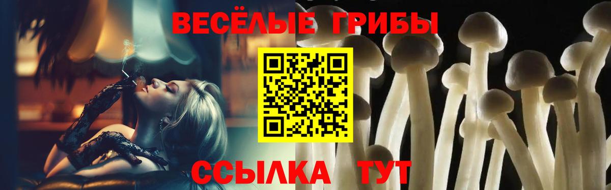 Таганрог  Псилоцибиновые грибы ЛСД  Вход с VPN 